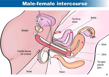 best of Story cervix penetration