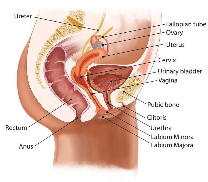 QB reccomend fuck position cervix