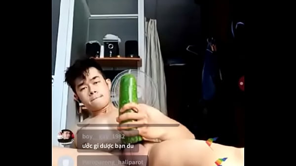 Fresh reccomend diep thinh hung cock vietnam