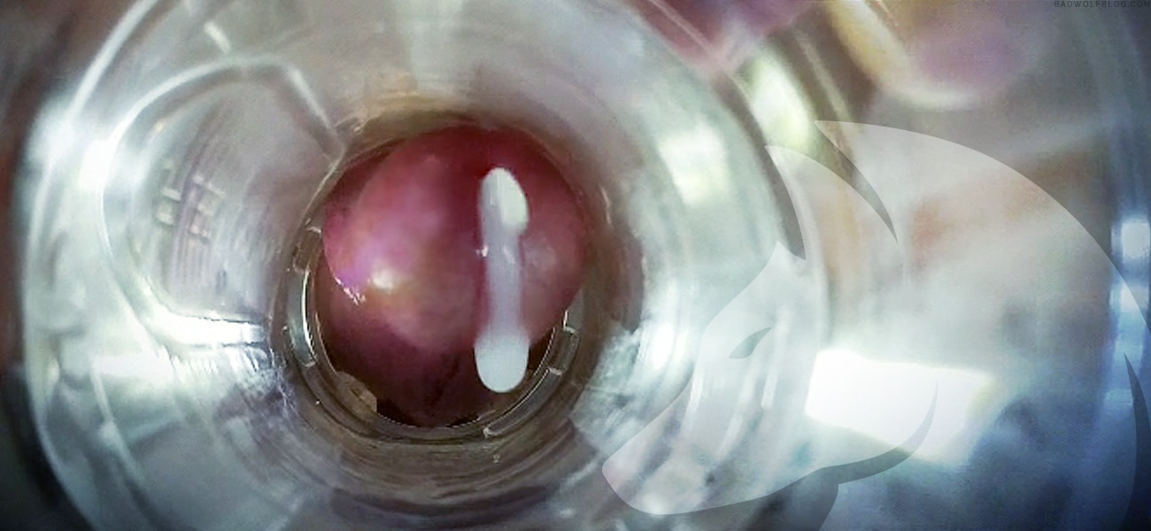 Pepper reccomend inside fleshlight cumming internal view