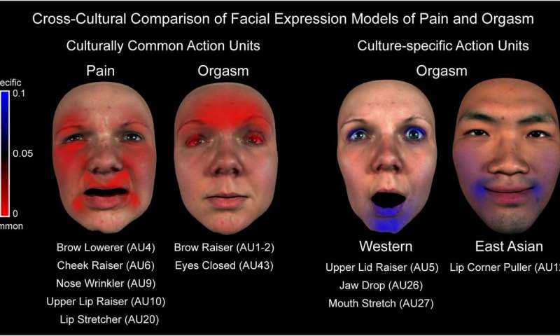 best of Facial multiple sclerosis